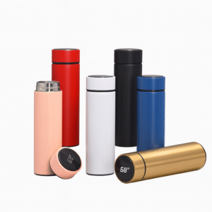 Temperature Display Water Bottle